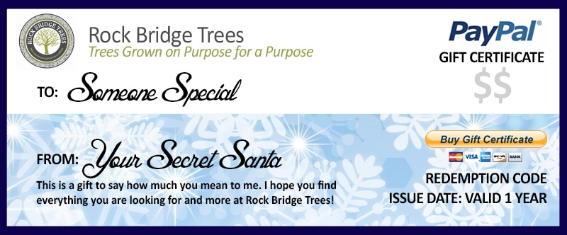Gift Certificate