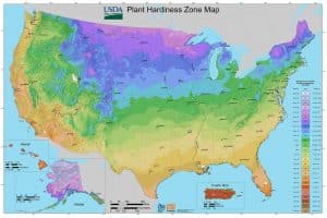 Read more about the article USDA Plant Hardiness Map